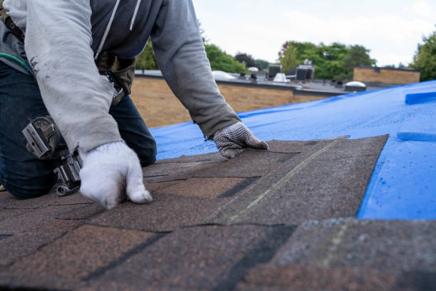 Best Roof Leak Repair  in Oberlin, LA