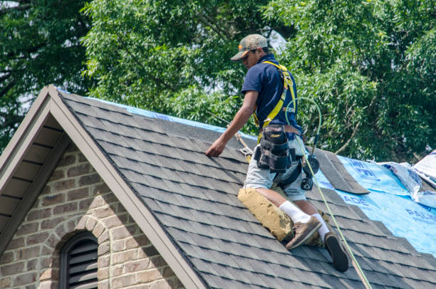 Best Roof Repair Services  in Oberlin, LA